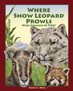 Where Snow Leopard Prowls